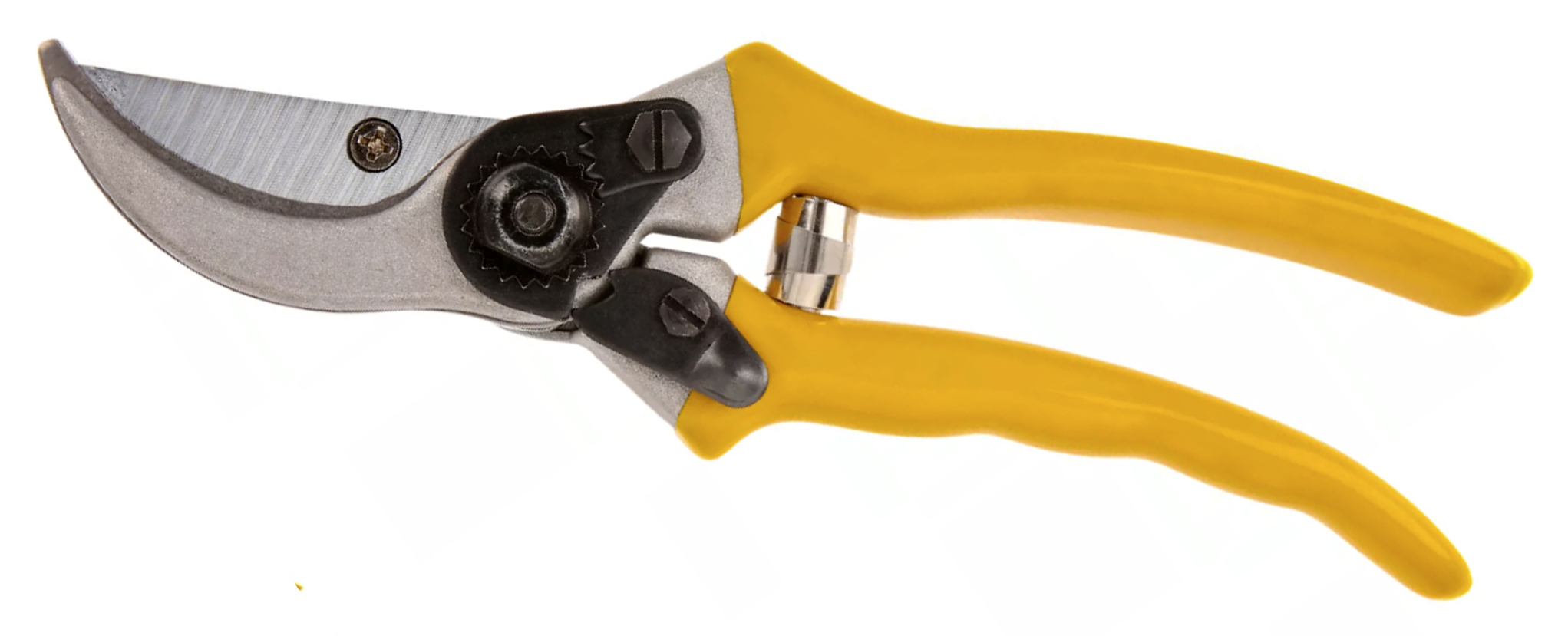 hand pruner
