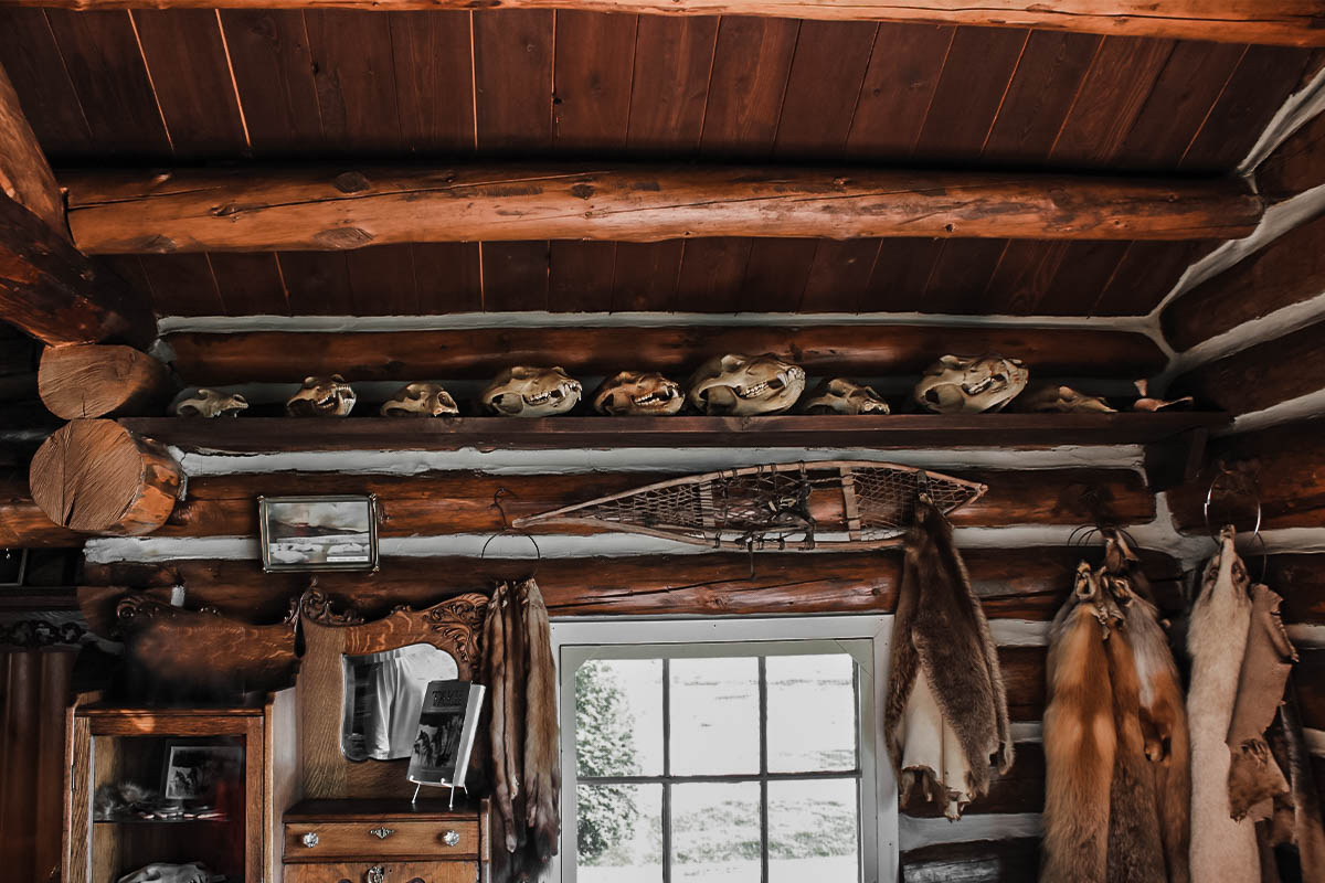 yukon moose cabin