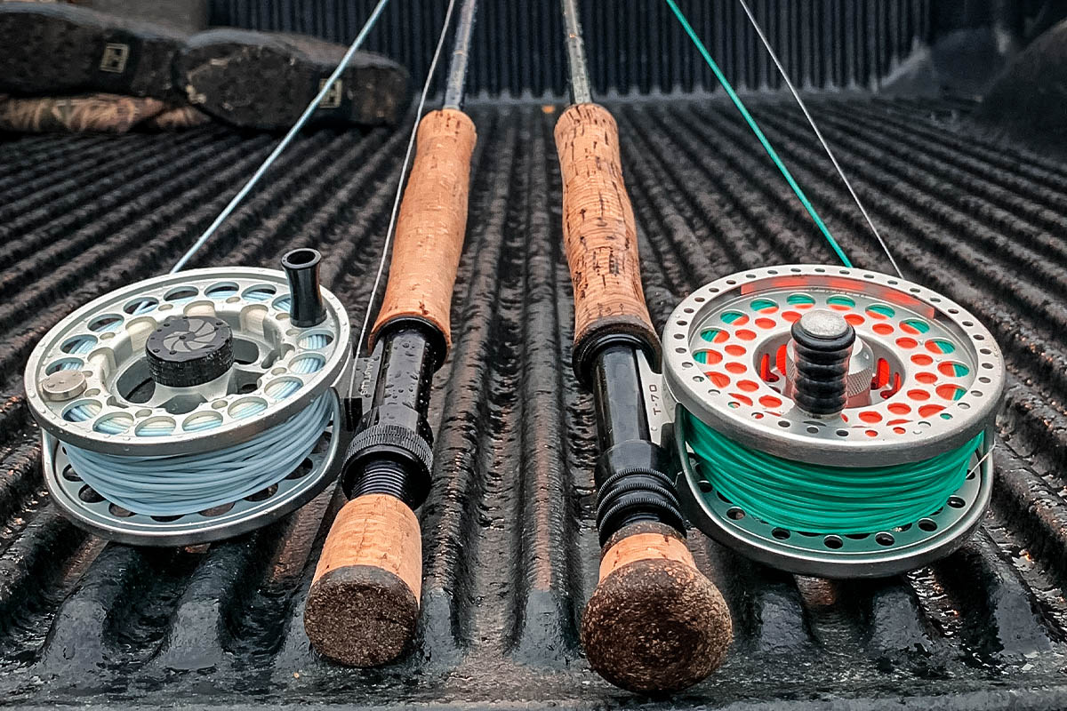 fly fishing for striped bass