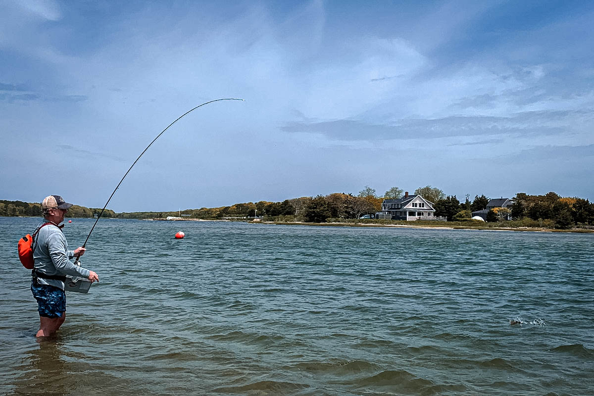 cape cod striper fishing