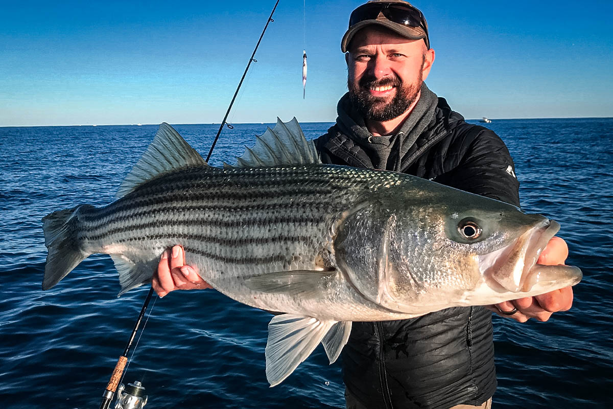 striper on a conventional rod