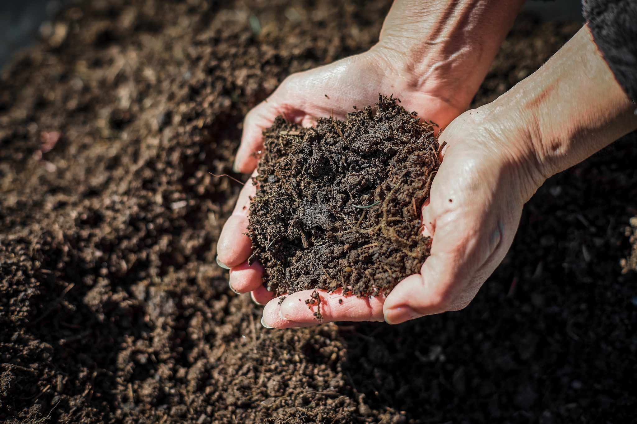 composting with coffee grounds