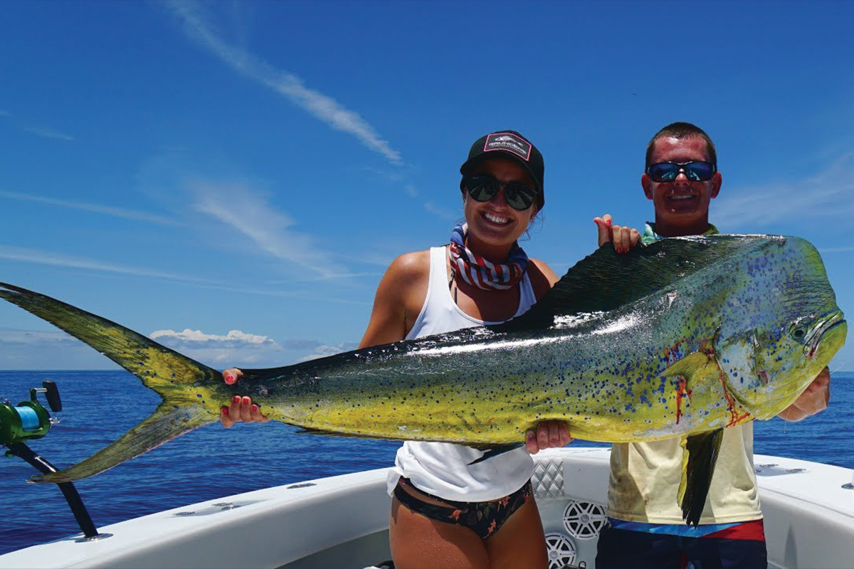 mahi mahi