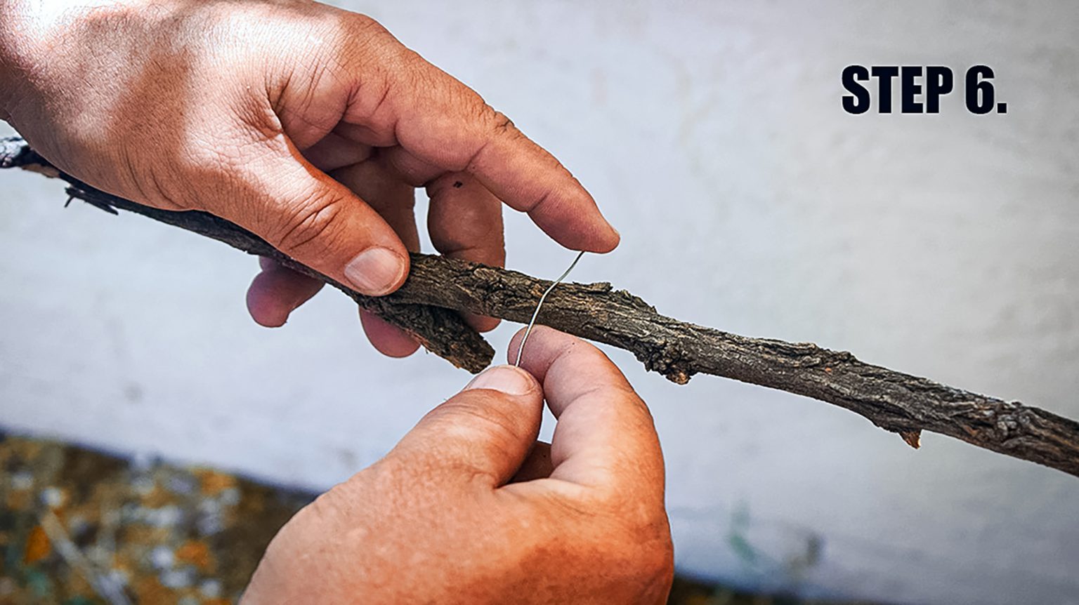 How to Make a Rabbit Snare: A Simple Survival Skill You Should Have