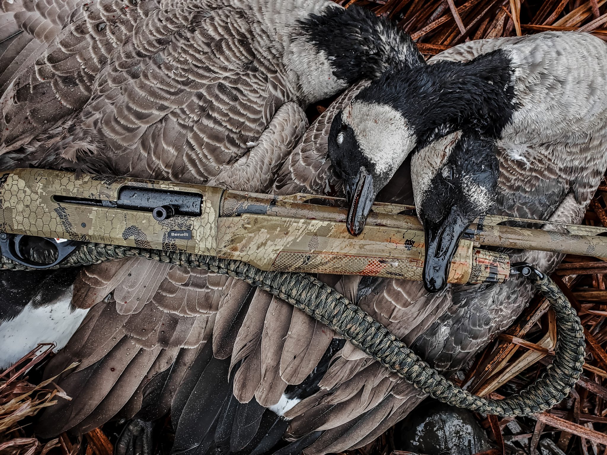 Why I prefer the 20-gauge shotgun to hunt ducks