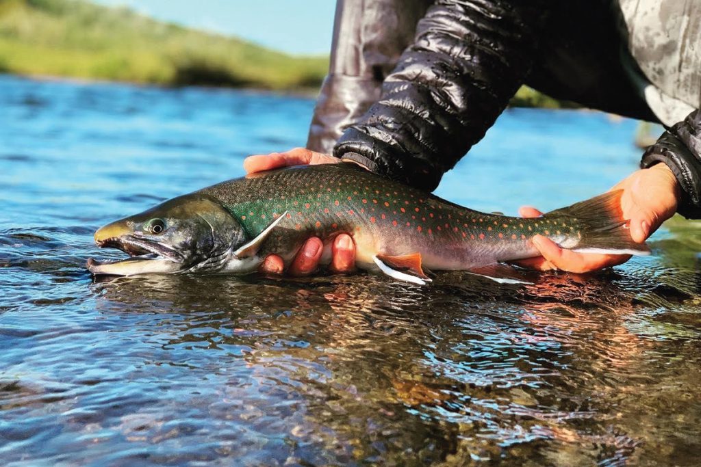 Fatherhood, Sammy Hagar, and Salmon Fishing in Alaska