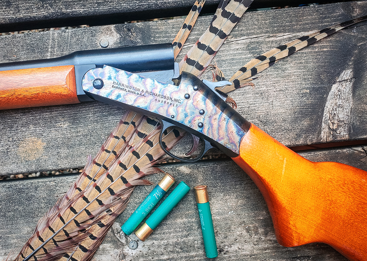 The 410 Shotgun: Incredibly, Improbably Popular