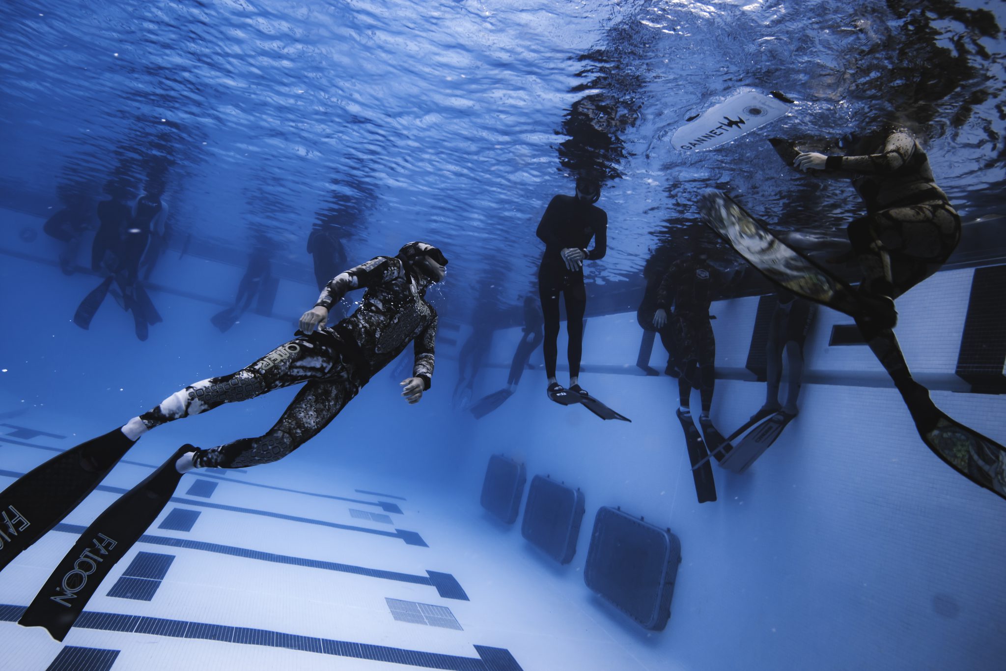 Freediving Gear at Kona Freedivers