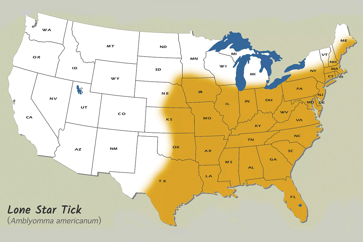 Like Eating Red Meat? Steer Clear of the Lone Star Tick