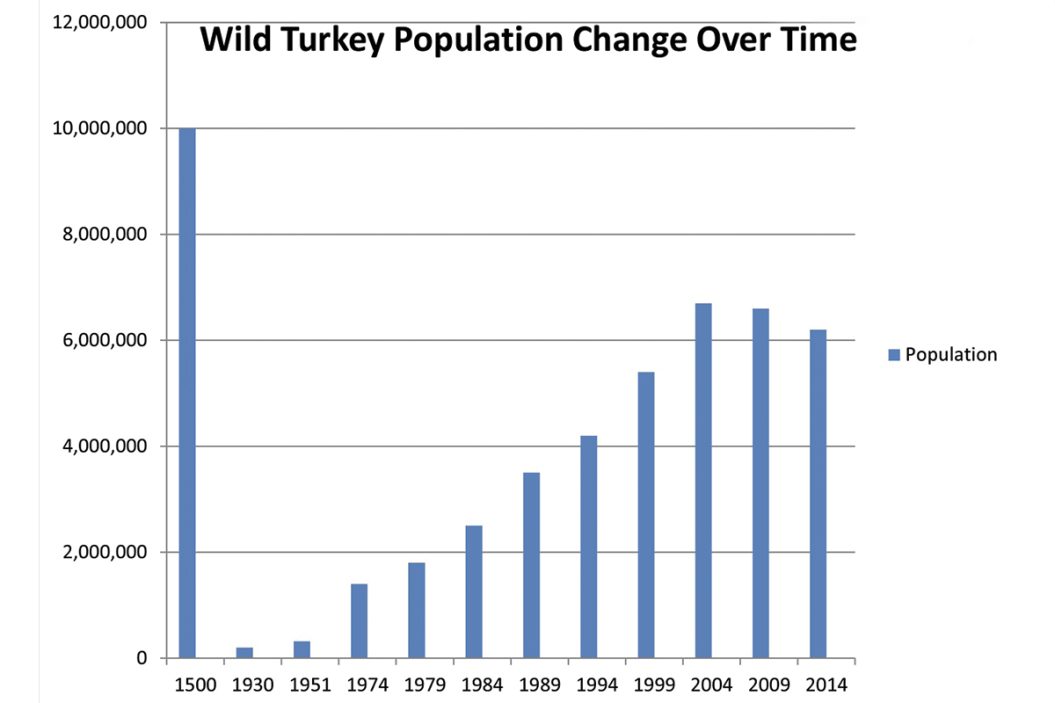 TN Revamps Turkey Hunting Regs, States Adapting to Declining Numbers