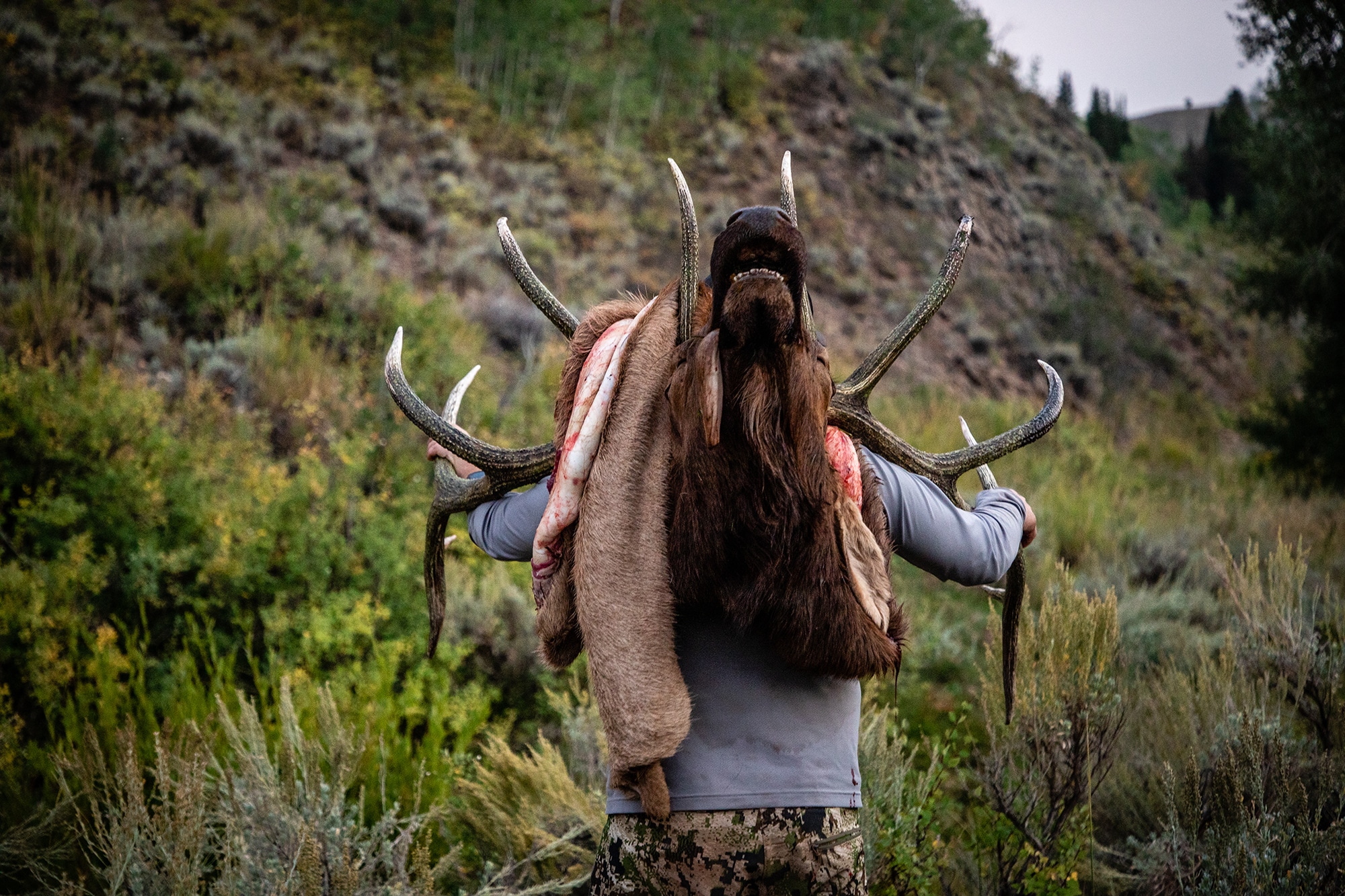 Early season elk outlet hunting gear list