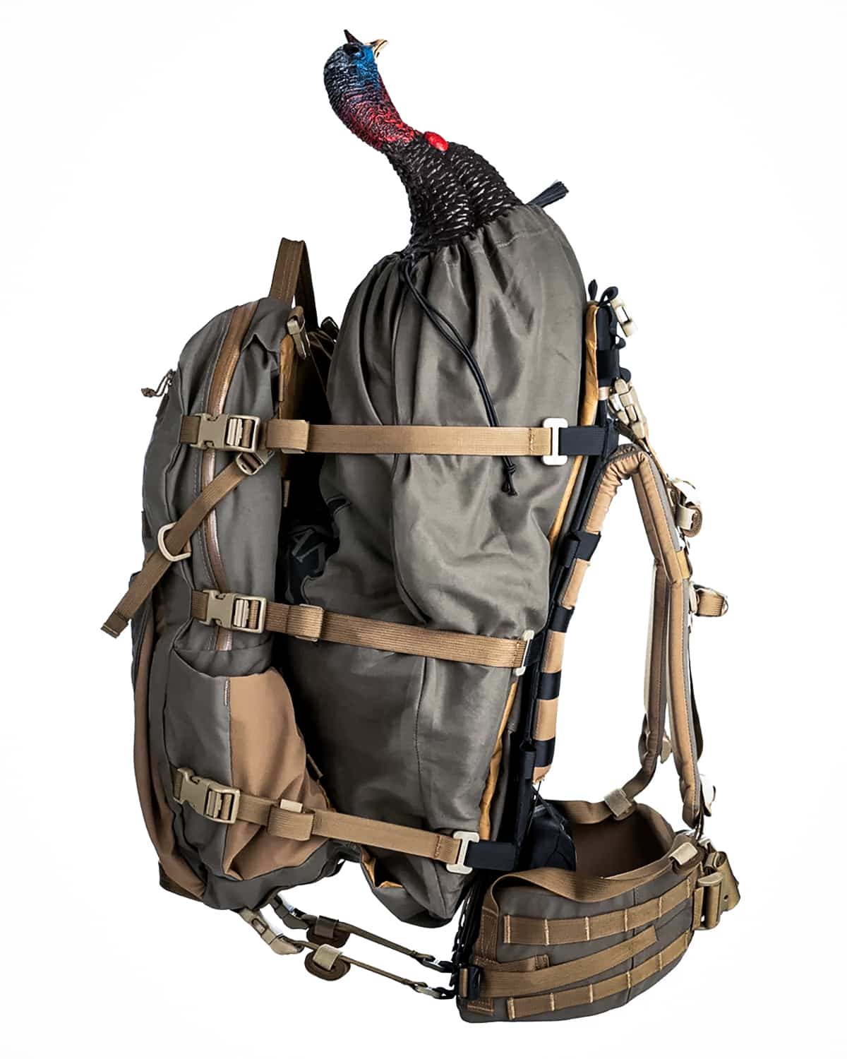 pronghorn antelope backpack
