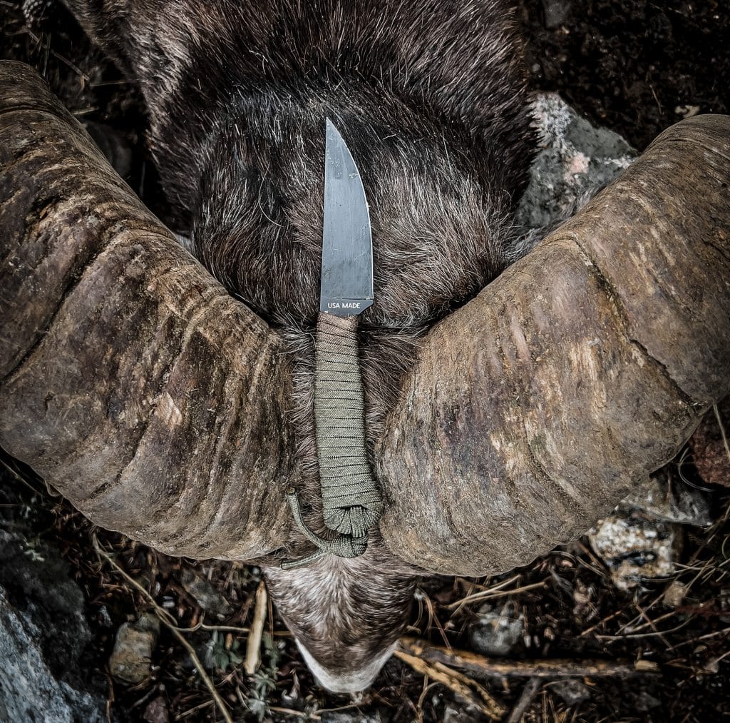 The Essential Gear List for Bowhunting Pronghorn Antelope