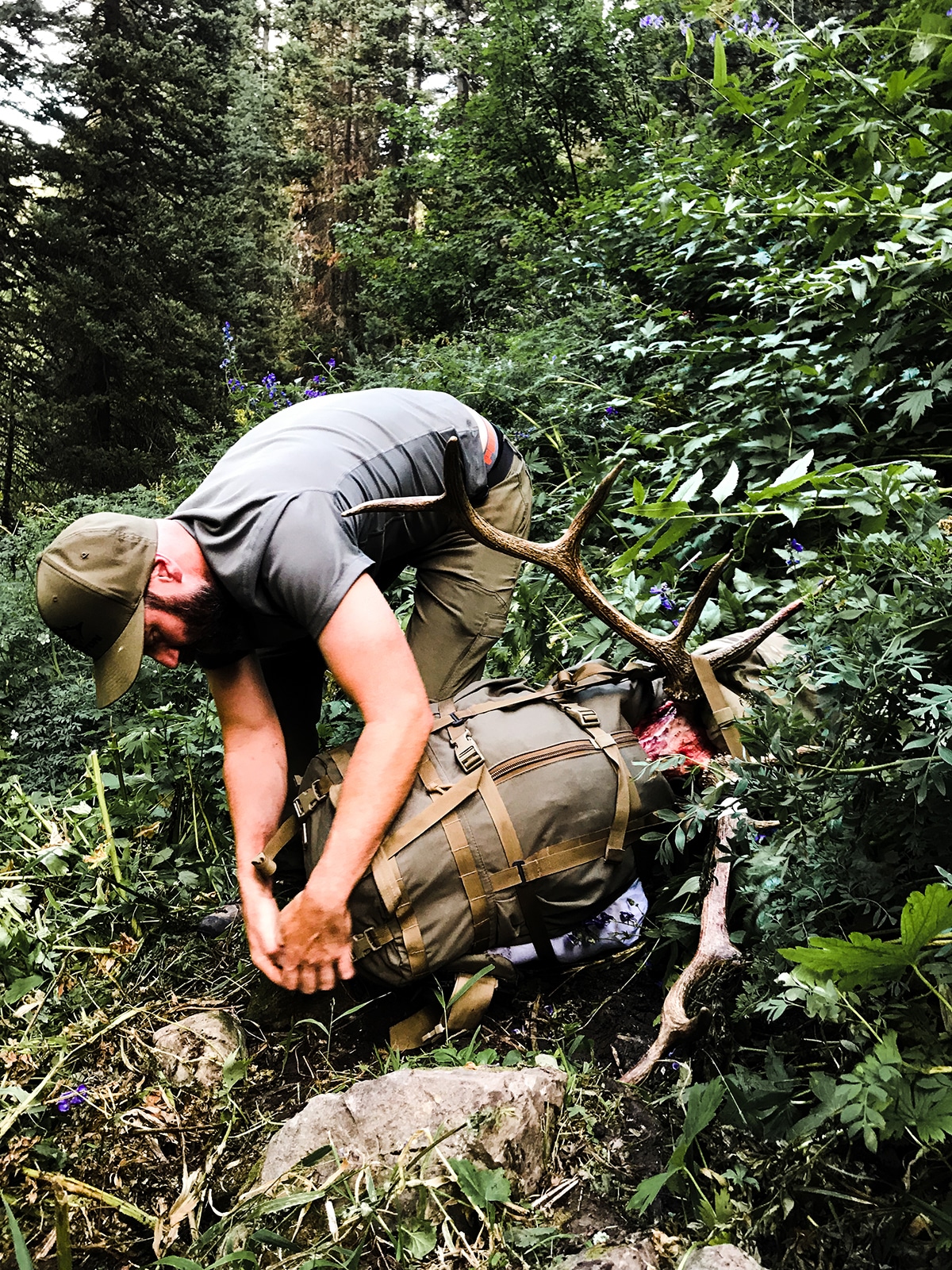 elk hunting gear