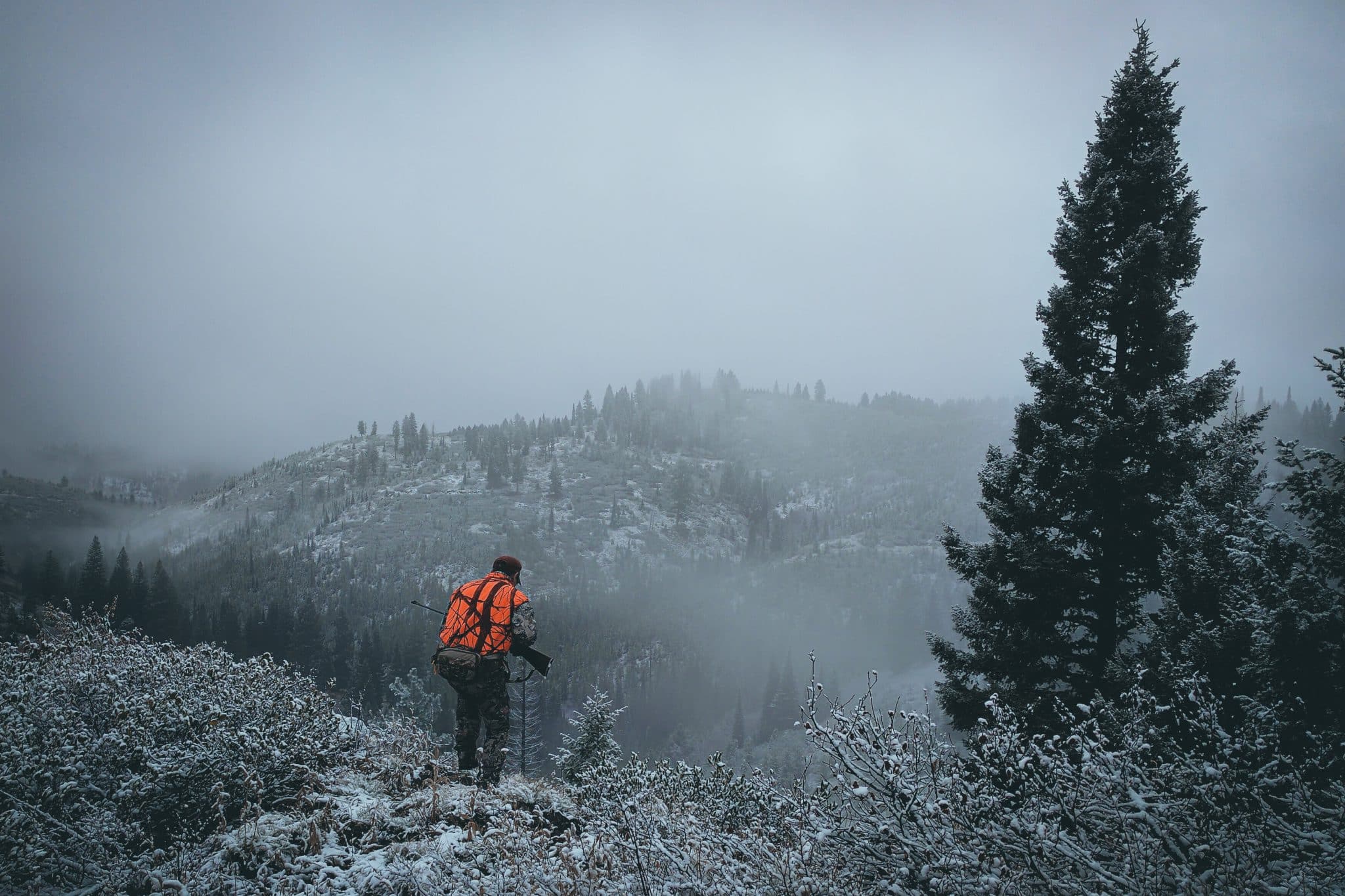 backcountry survival