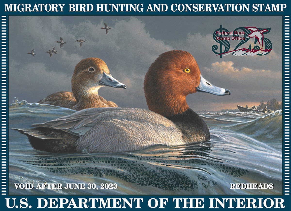 Federal duck stamp