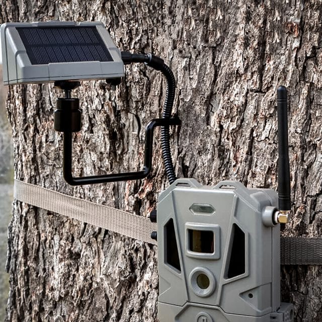 Bushnell CelluCORE 20 Trail Cam has Detachable Solar Panel
