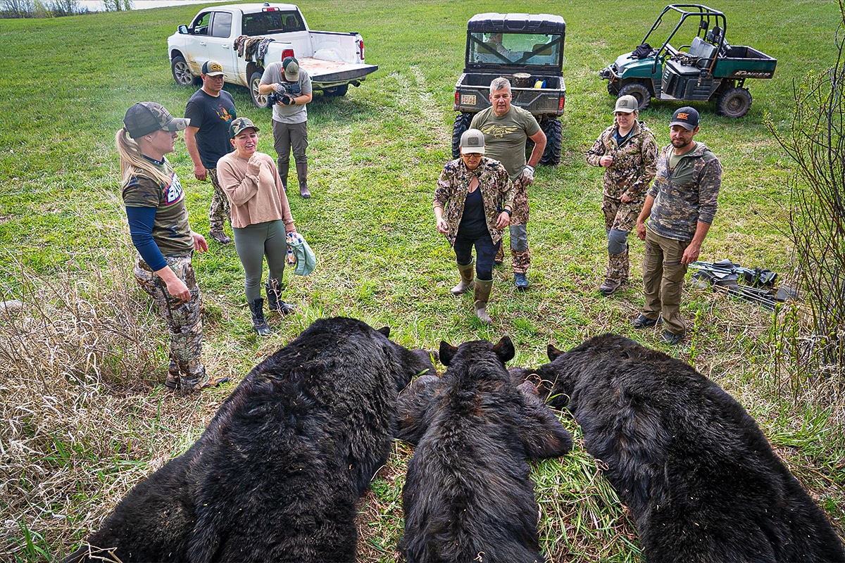 bear hunting outfitters