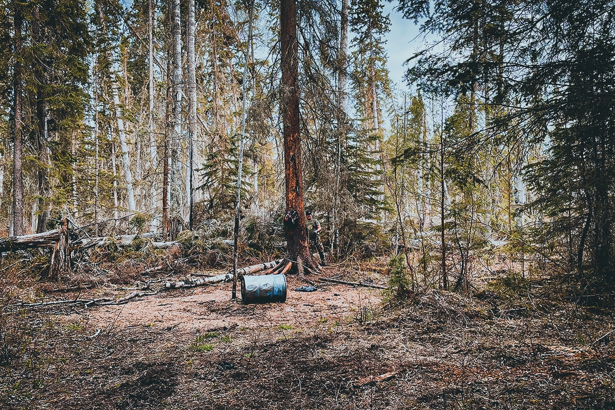 How to Remove Bear Baits from Public Lands