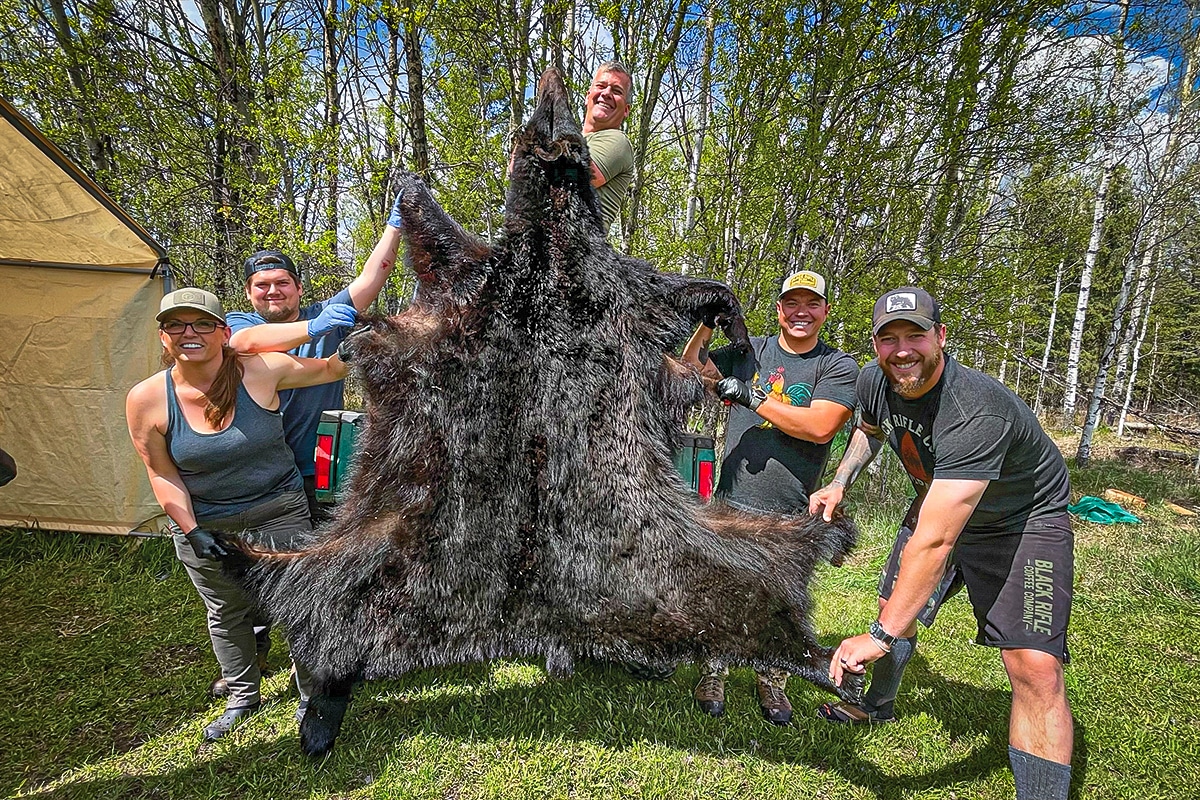 The Bait Debate: Bear Baiting as Predator Management