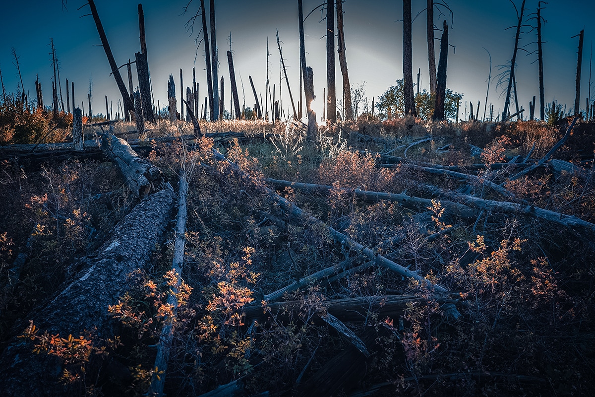 gila wilderness