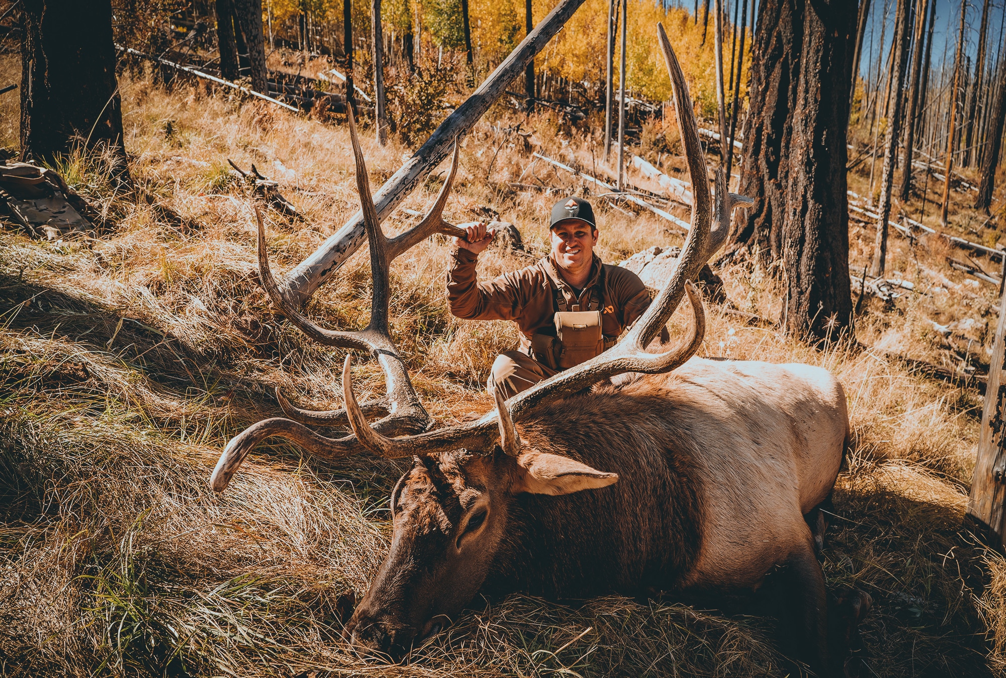 new mexico elk hunting