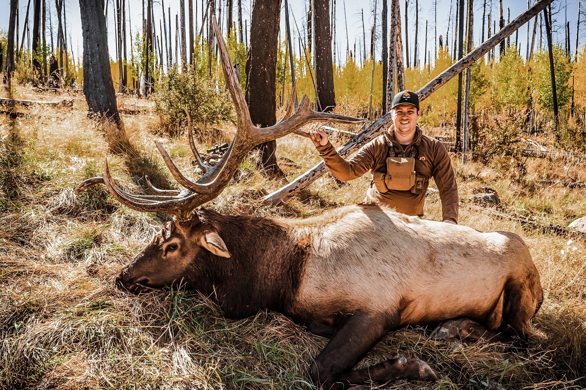 new mexico elk hunting