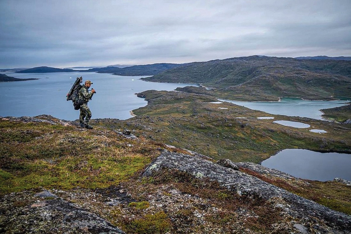 glassing for the herd