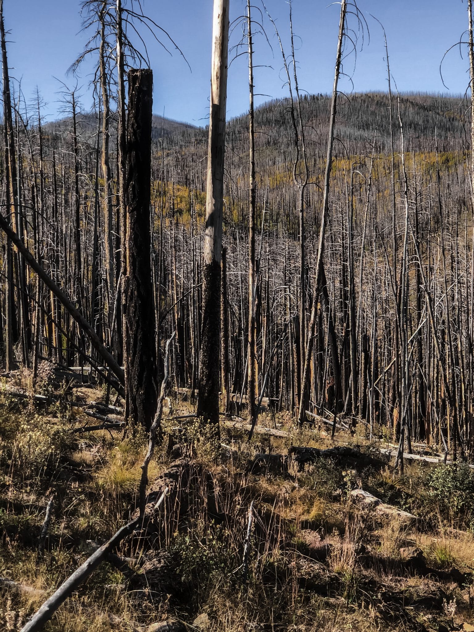 gila wilderness