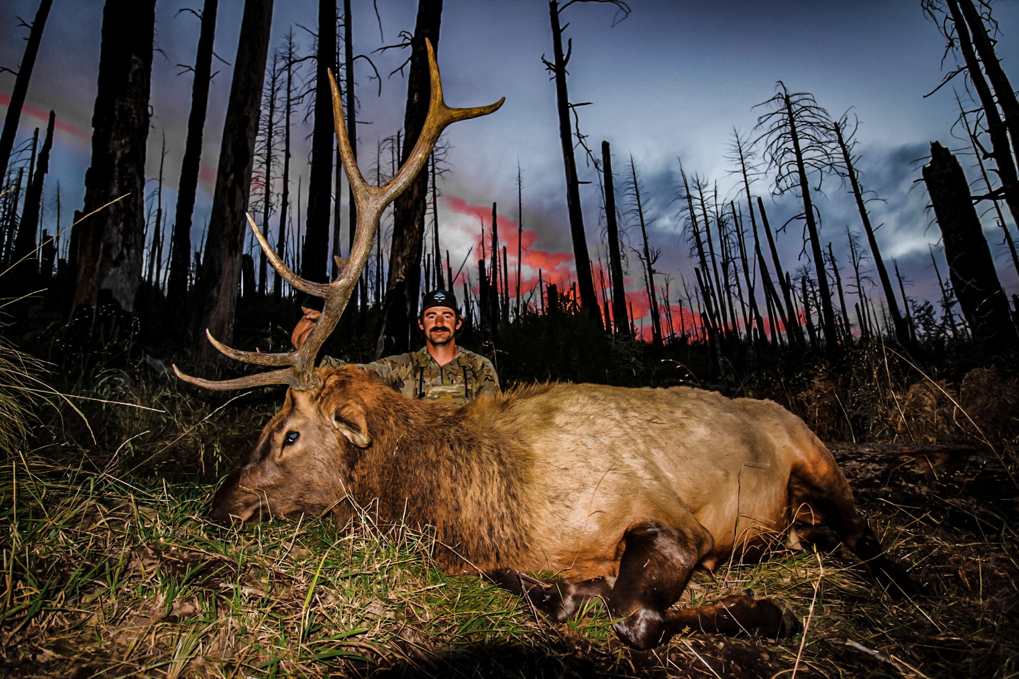 new mexico elk hunting