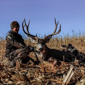 Mule Deer vs Whitetail Deer: Learn the Differences, Slay Bucks