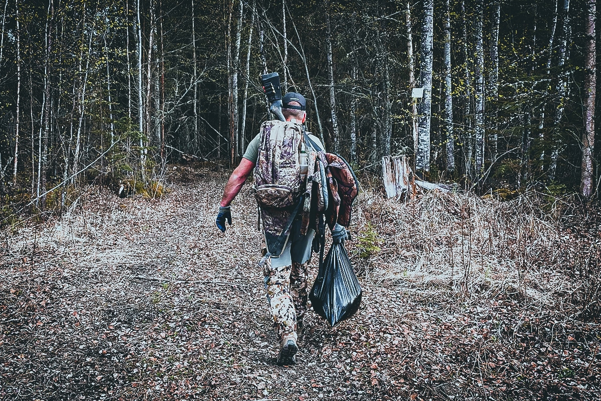 Baiting For Black Bears