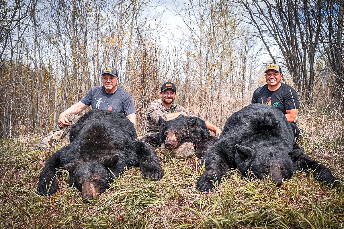 Must-know bear-baiting preparation for bowhunters • Outdoor Canada