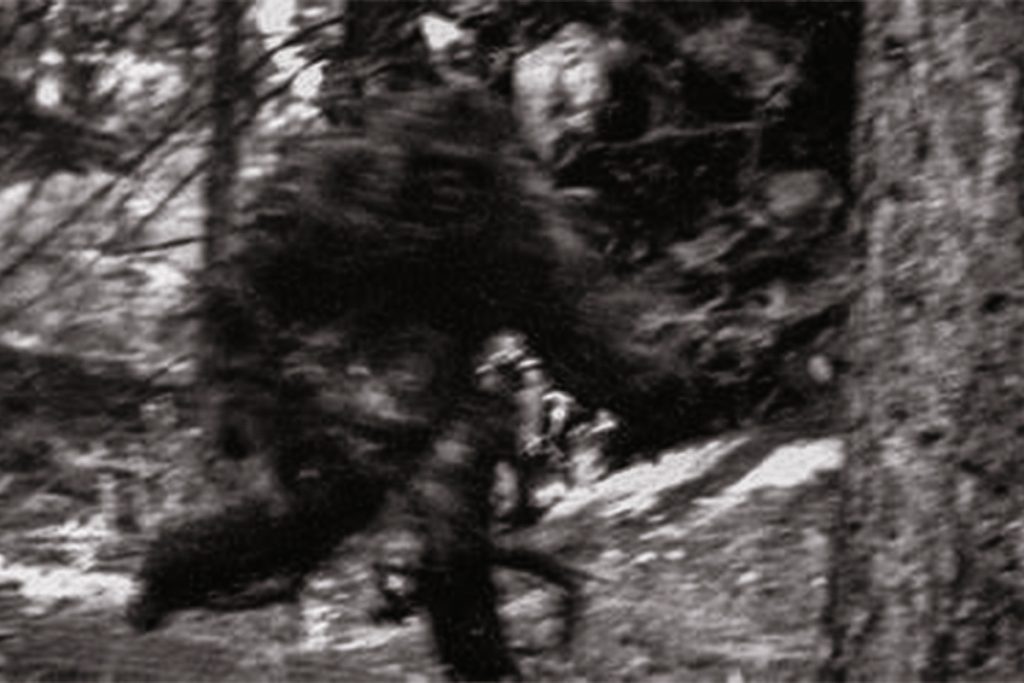 creepy bigfoot sighting