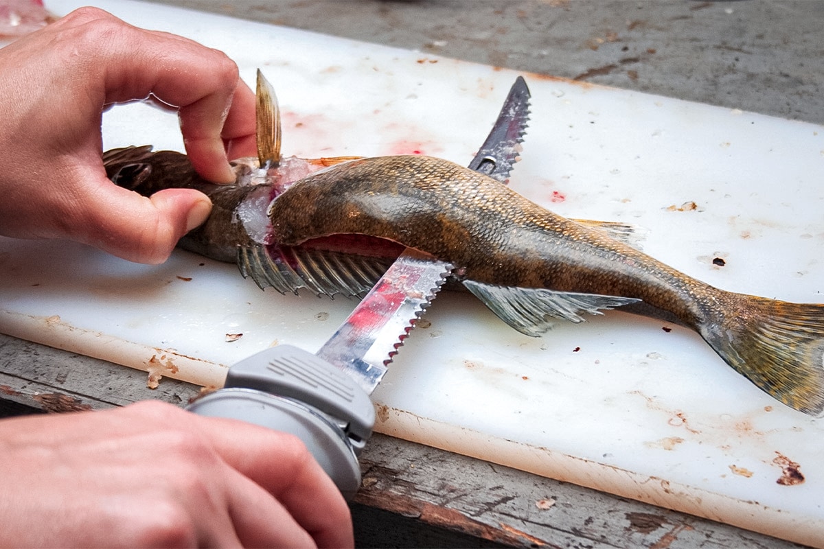 Outdoor Fish and Game Cutting Cleaning Table with Sink and Faucet