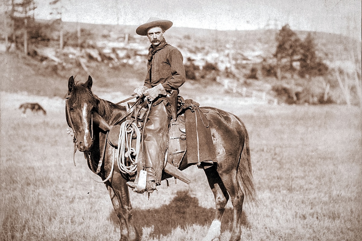 Lever-action repeater pictured on horse