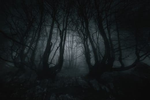 Creepy Things Hunters Have Seen in the Woods