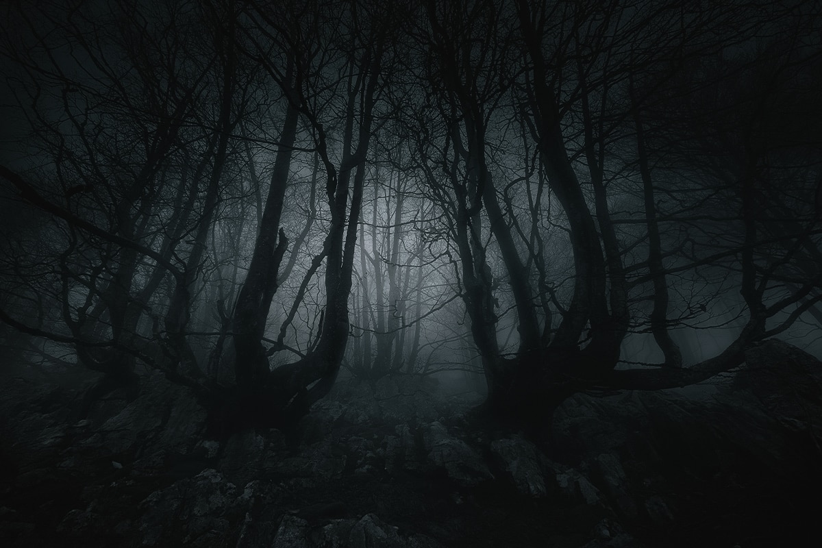 Creepy formation of trees in the moonlight