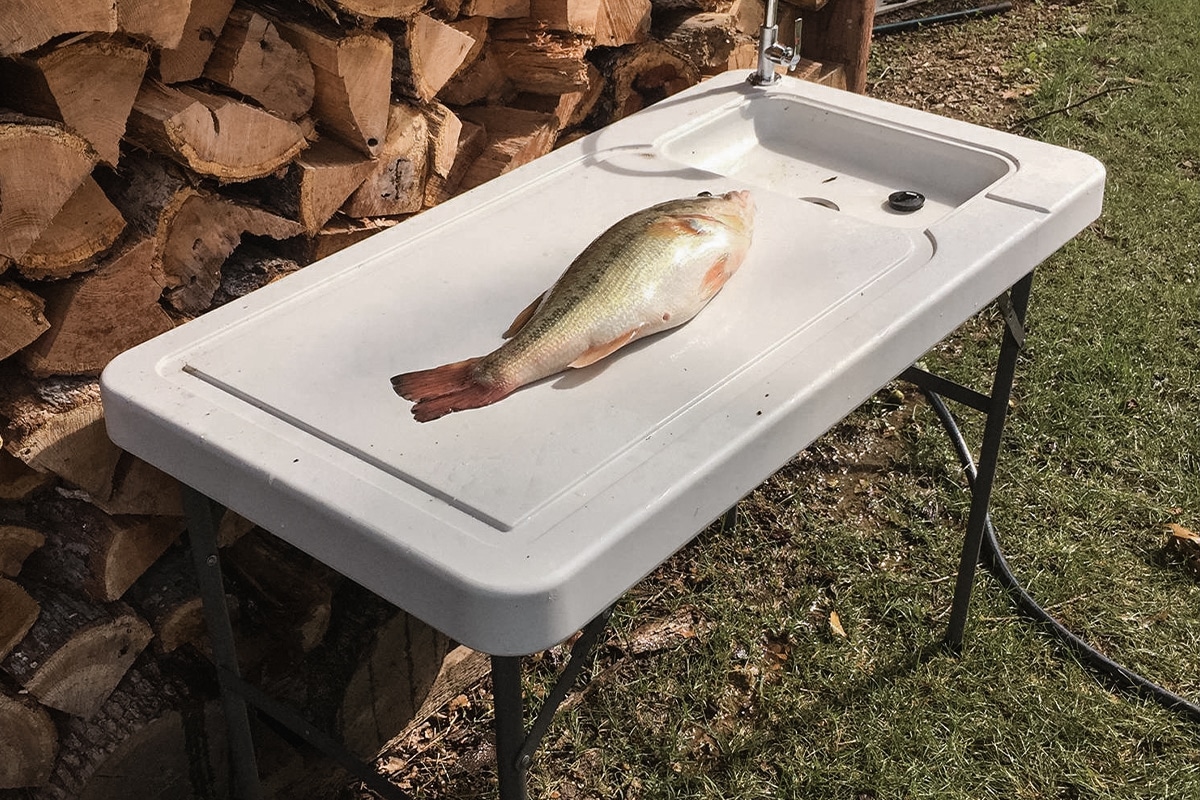 fish cleaning table