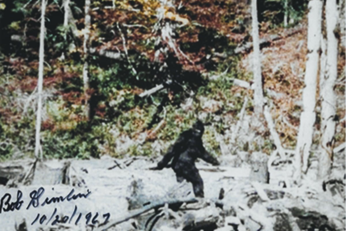 Frame 352 of the Patterson–Gimlin film, alleged to depict a female Bigfoot