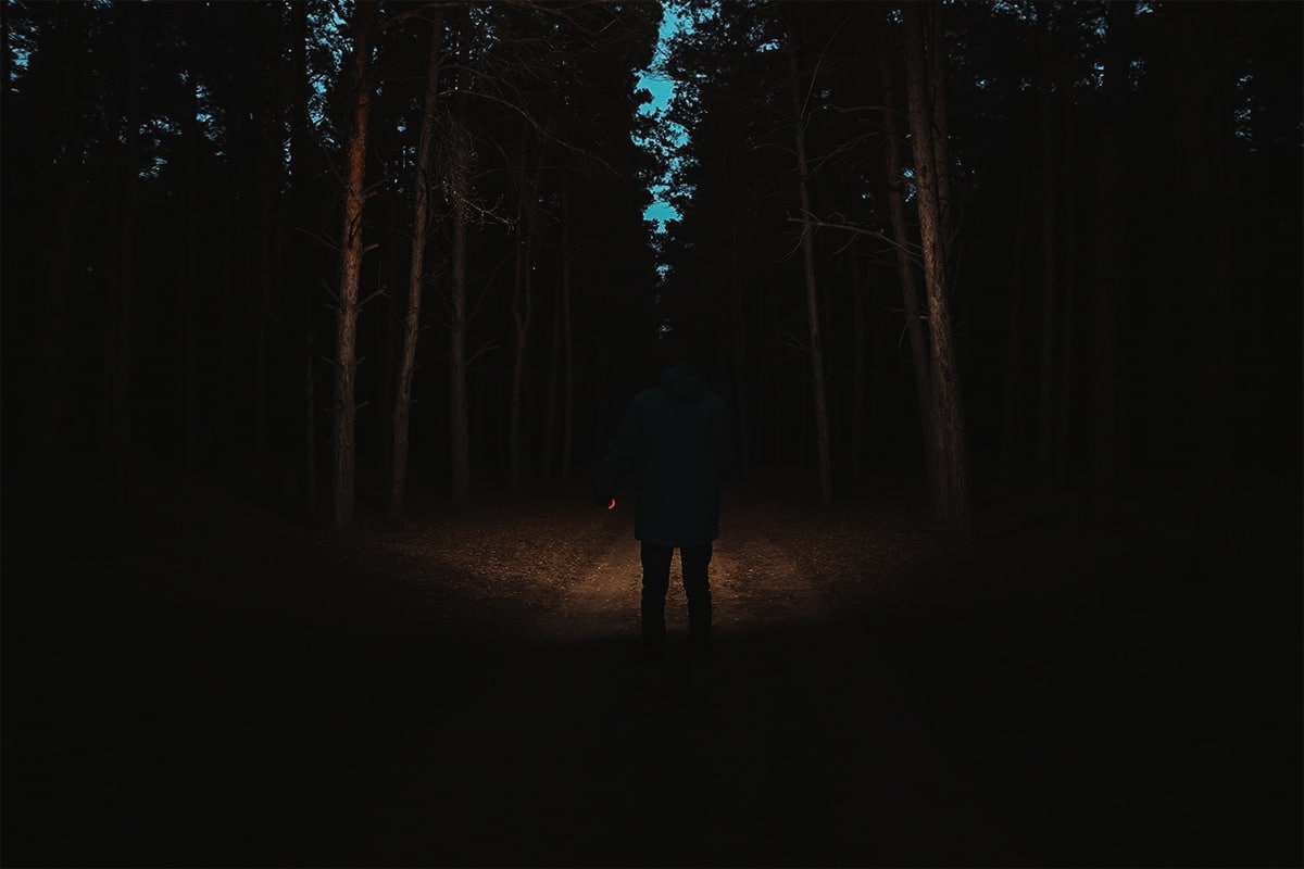 Person walking through the woods at night