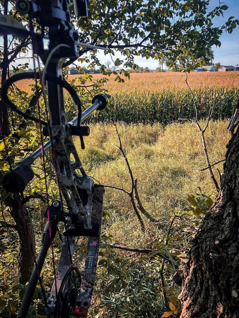 How To Make the Most of a 2Day North Dakota Deer Hunting Trip