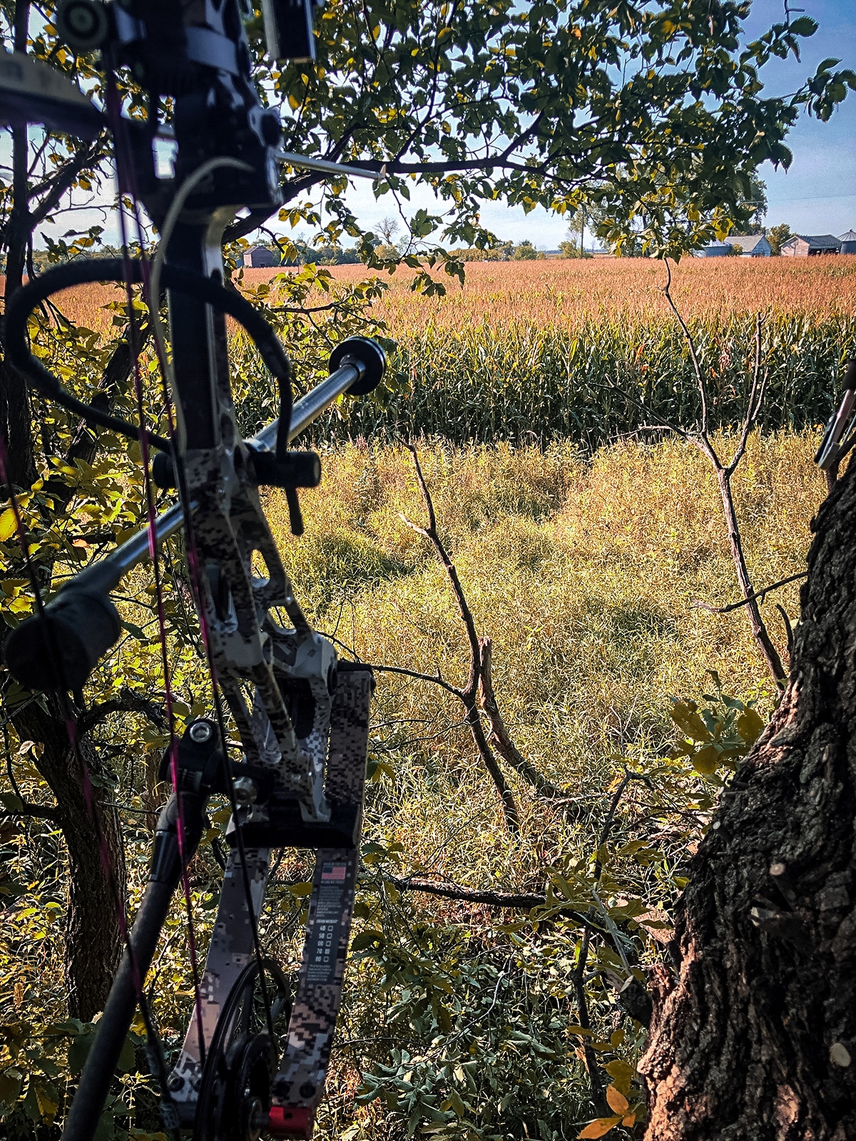 North Dakota Deer Hunting