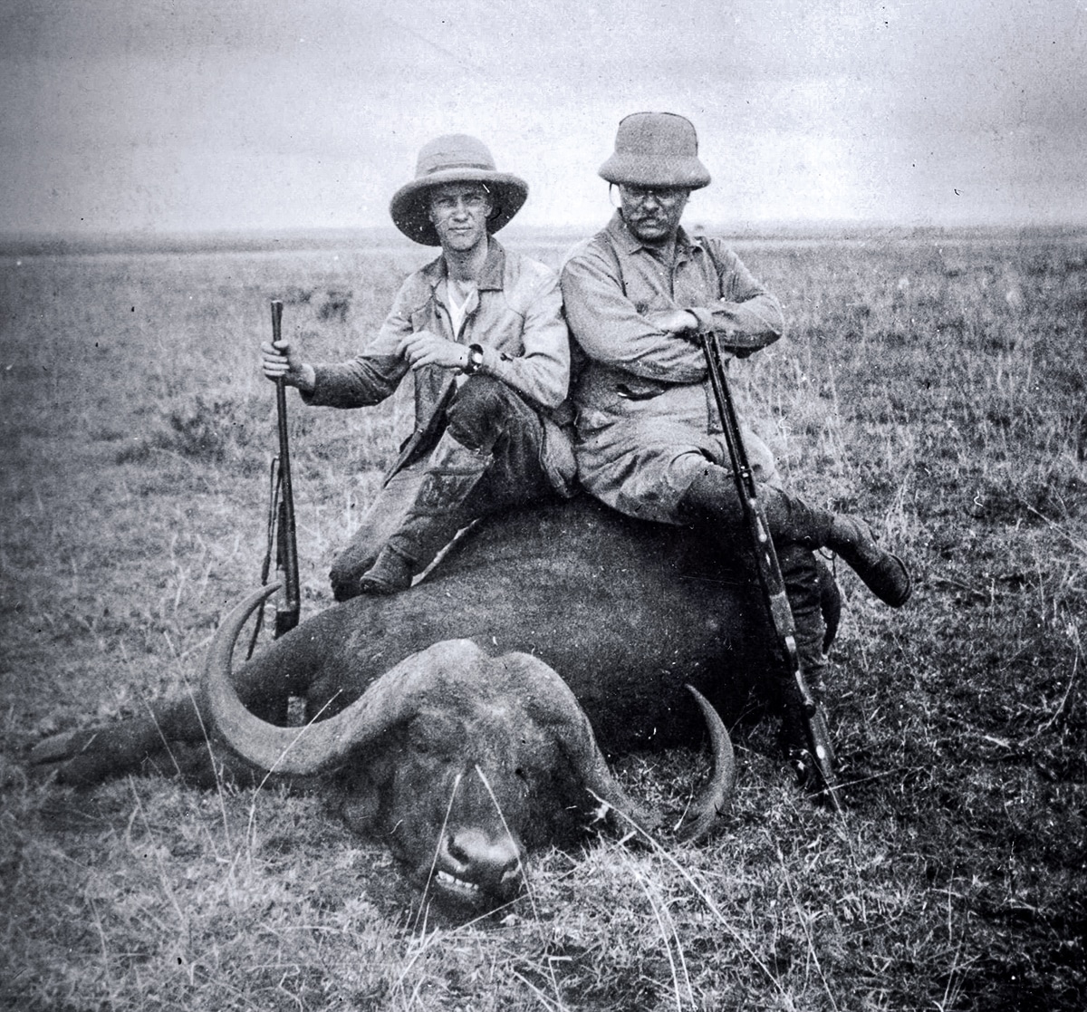 teddy roosevelt kermit roosevelt with cape buffalo