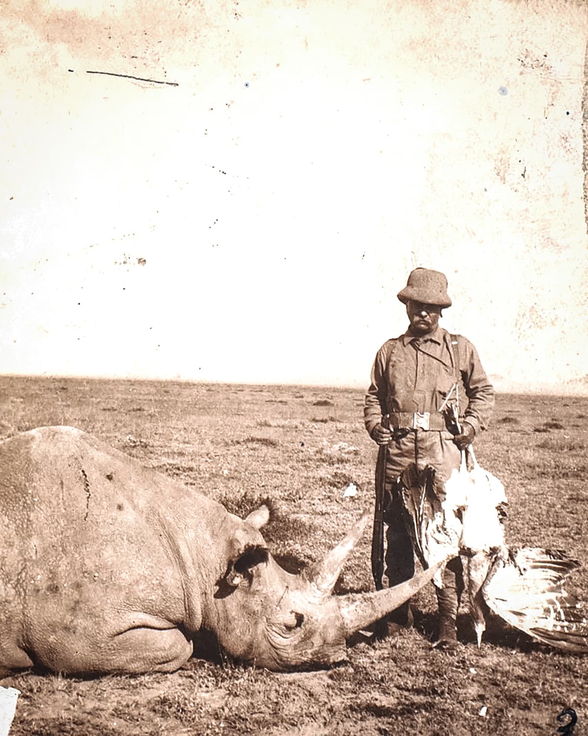 teddy roosevelt with big stick and rhino