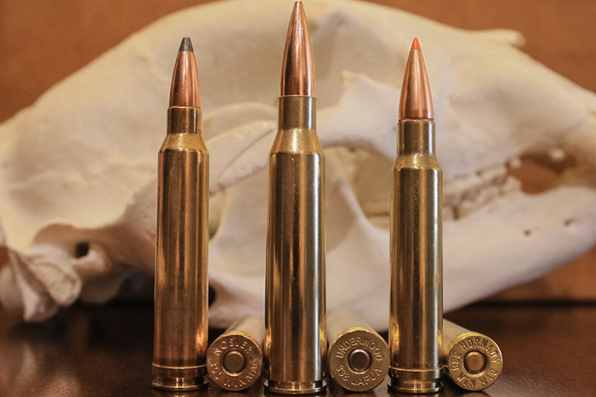 A side-by-side comparison of the 338 Lapua (center), .300 Win Mag (left), and .338 Win Mag (right).