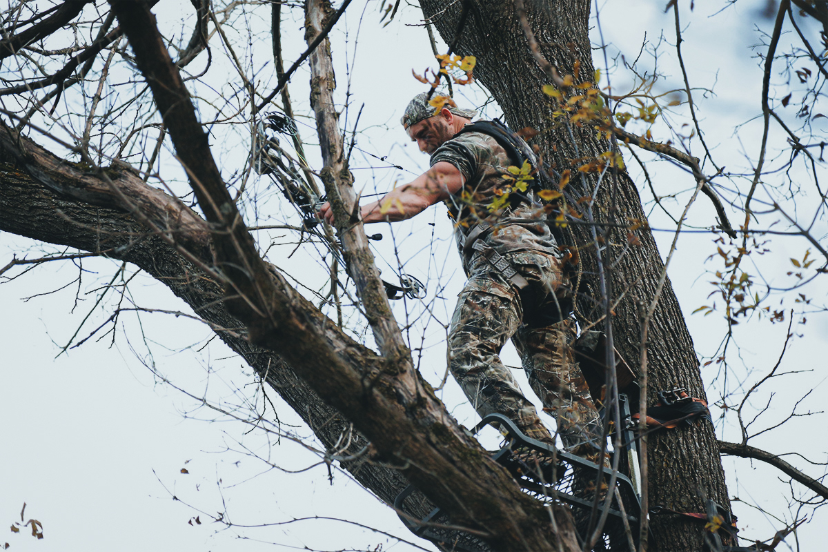 Bowhunter drawing bow in treestand