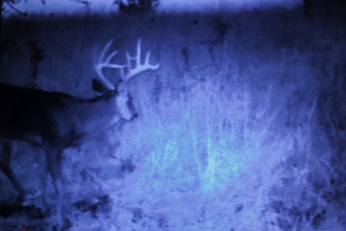 The buck pictured on a trail cam from 2021 that Ashton Copas shot later the following year