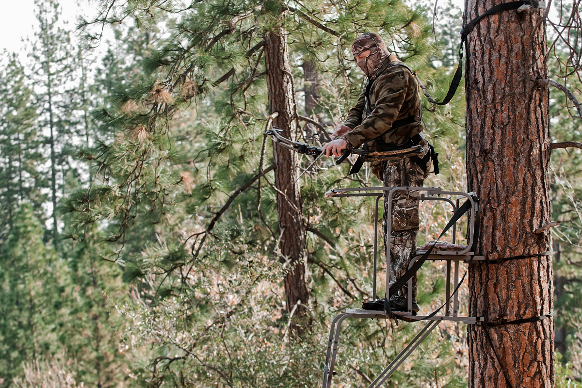 Wear a safety harness to prevent a hunting accident 