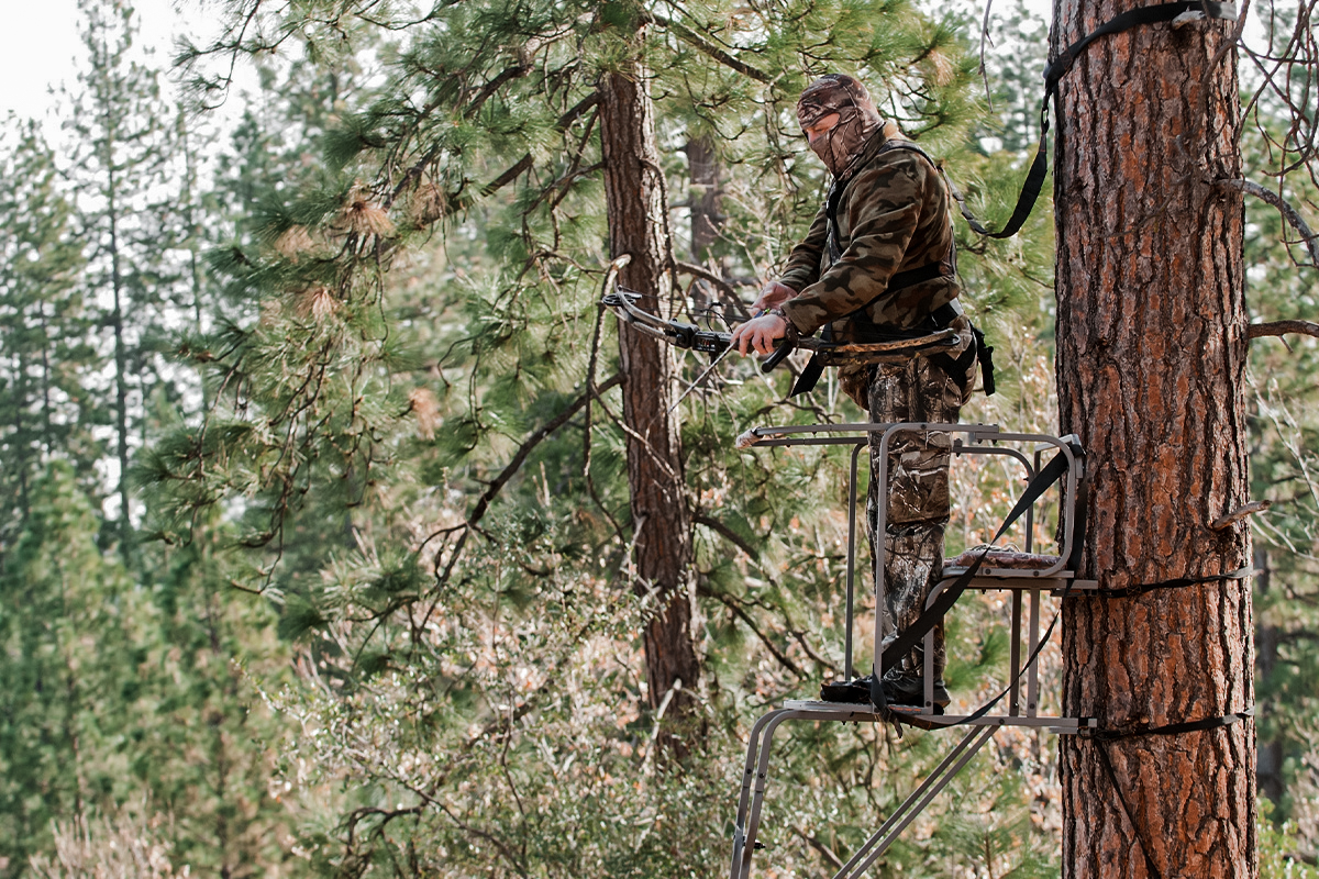 bow hunter in tree stand